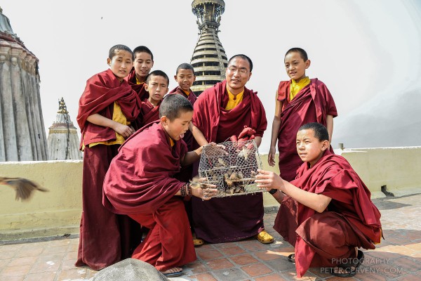 Bird Release at Swayambhu stupa in Kathmandu Bird Release at Swayambhu stupa in Kathmandu
